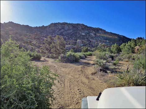 Cedar Basin Road