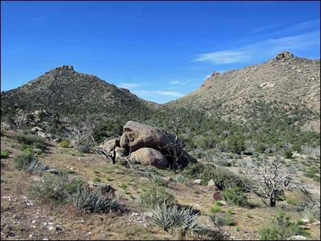 Cedar Basin Road