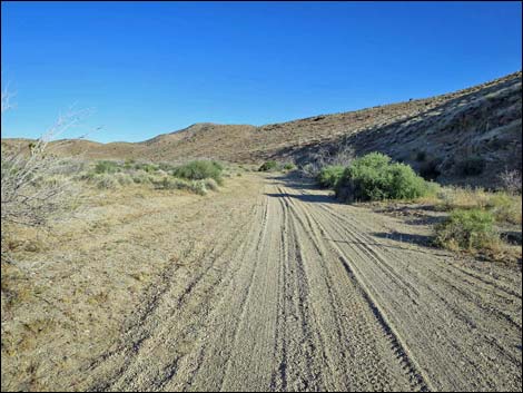 Cedar Basin Road