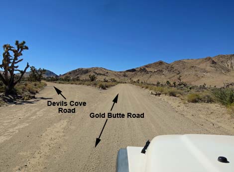 Devils Cove Road