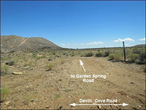 Devils Cove Road