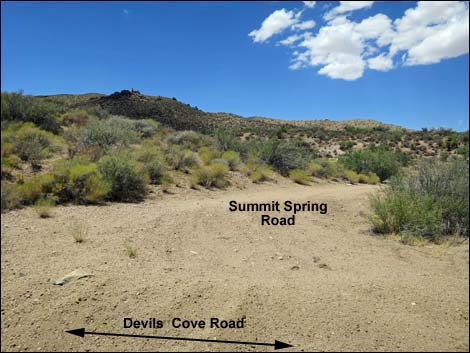 Devils Cove Road