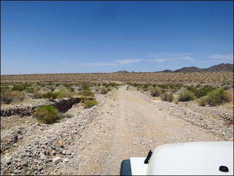 Fisherman Cove Road