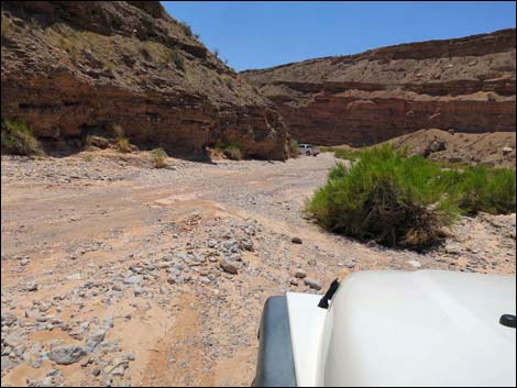 Fisherman Cove Road