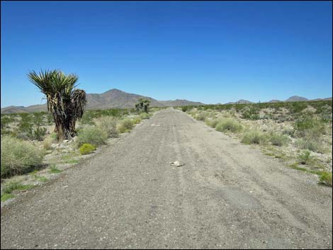 Gold Butte Road