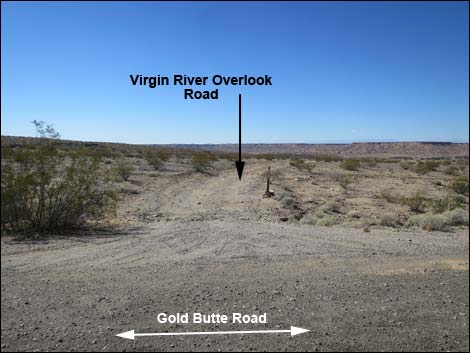 Gold Butte Road