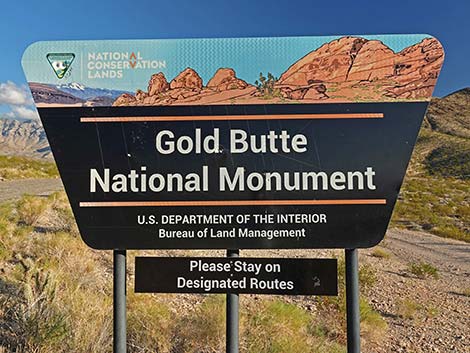 Gold Butte Road