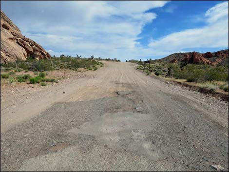 Gold Butte Road