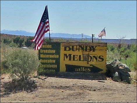 Gold Butte Road