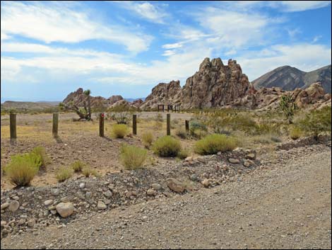 Gold Butte Road