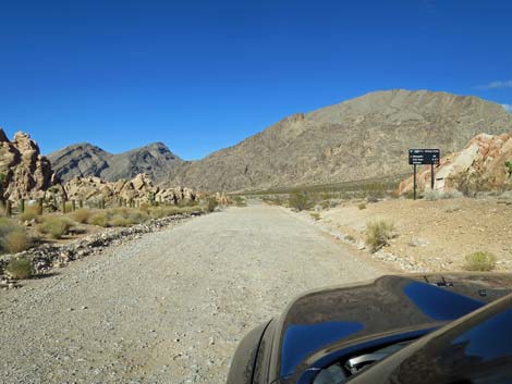 Gold Butte Road