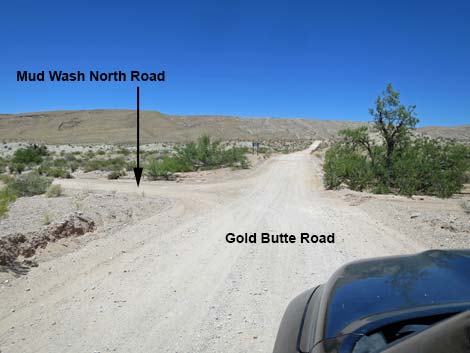 Gold Butte Road