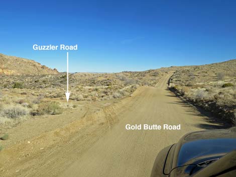 Gold Butte Road