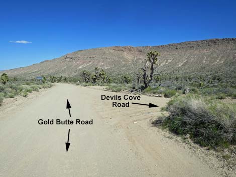 Gold Butte Road