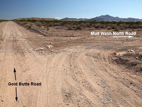 Gold Butte Road