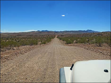 Gold Butte Road