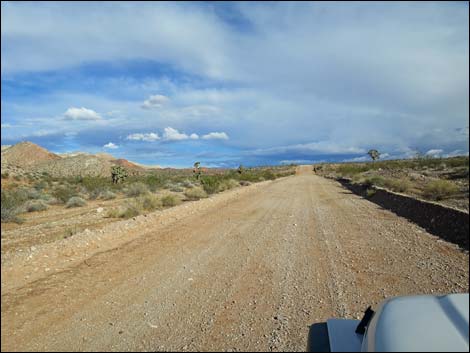 Gold Butte Road