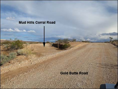 Gold Butte Road