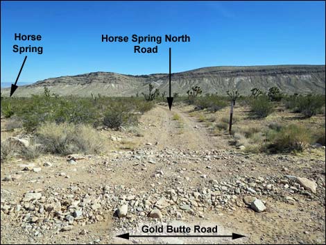 Gold Butte Road