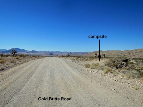 Gold Butte Road