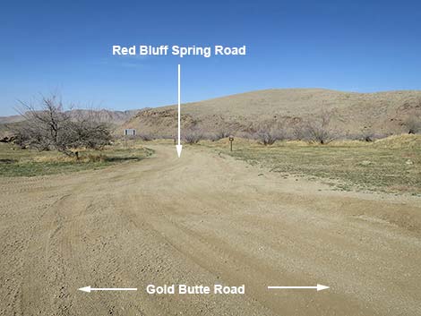 Gold Butte Road