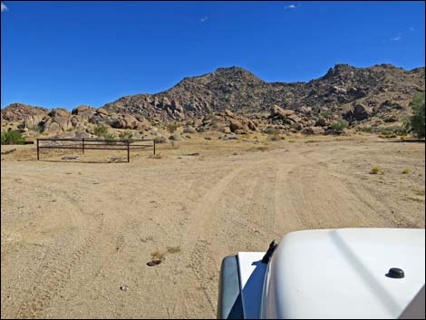 Gold Butte Townsite Road