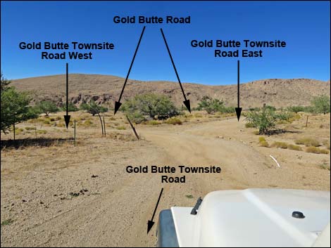 Gold Butte Townsite Road