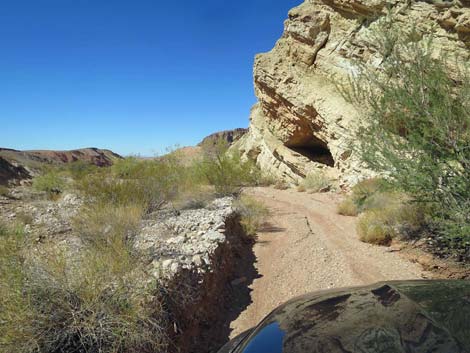 Gold Butte Wash Road