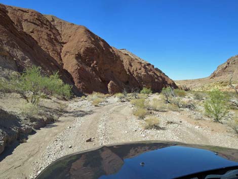 Gold Butte Wash Road