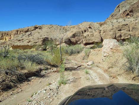 Gold Butte Wash Road