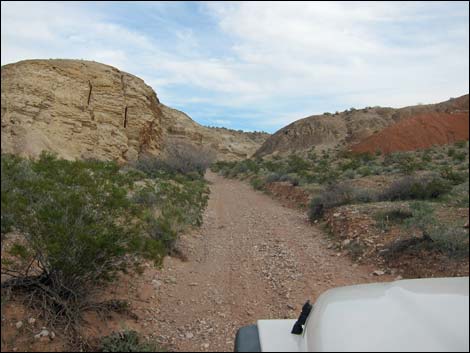 Gold Butte Wash Road