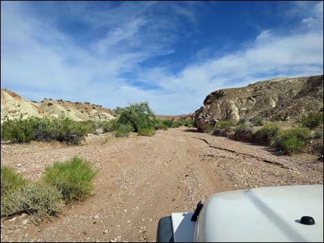 Gold Butte Wash Road