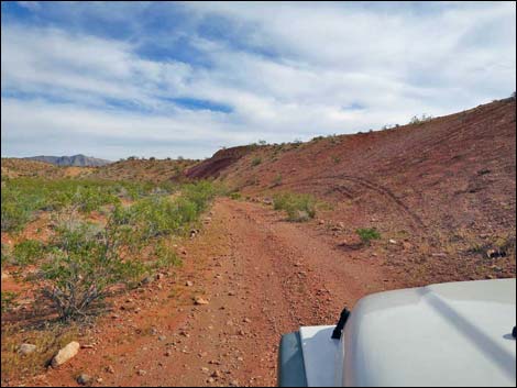 Gold Butte Wash Road