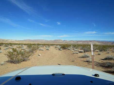 Greasewood Basin East Road