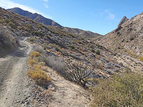 Hen Spring Canyon Road