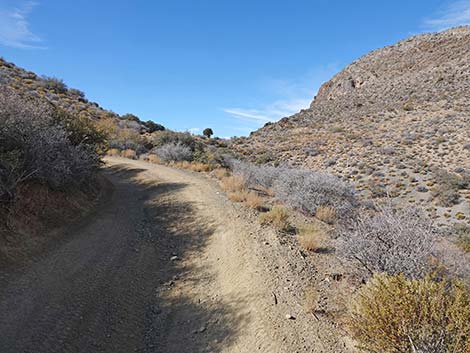 Hen Spring Canyon Road