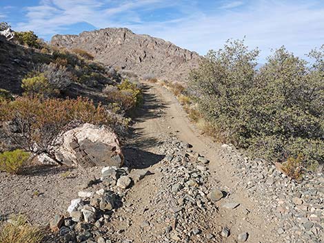 Hen Spring Canyon Road