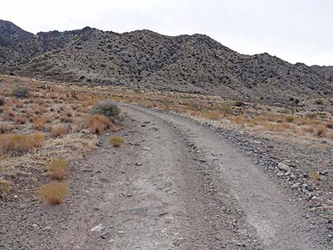 Hen Spring Canyon Road