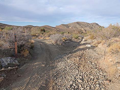 Hen Spring Canyon Road