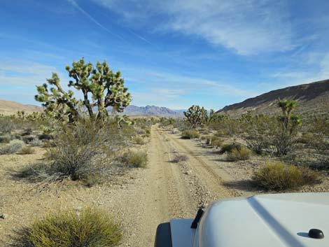 Horse Spring Road