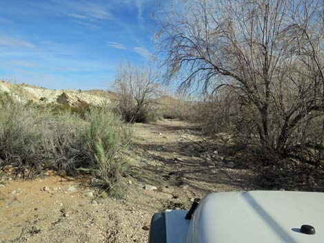 Horse Spring Road