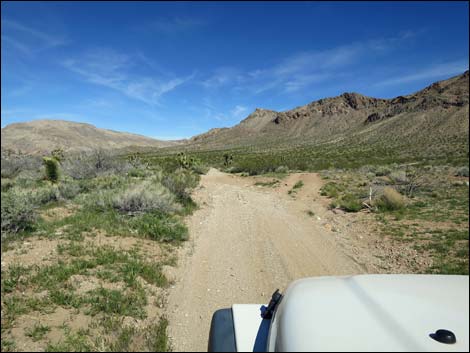 Lincoln Mine Road