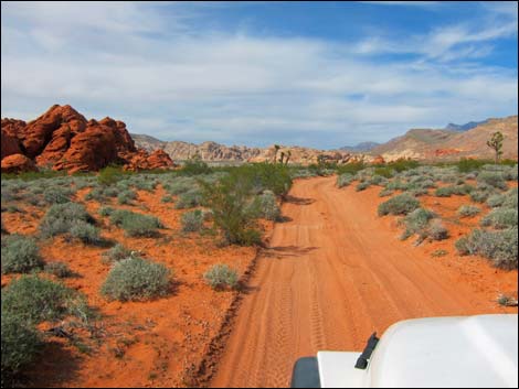 Mud Wash Dunes Road