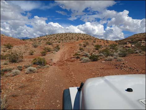 Mud Wash Shortcut Road