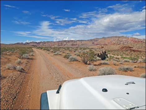 Mud Wash Shortcut Road