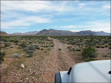 Narrows Road North