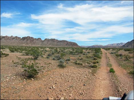 Narrows Road North