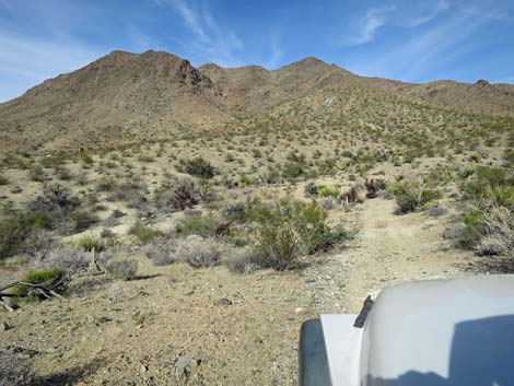 Rattlesnake Wash Road