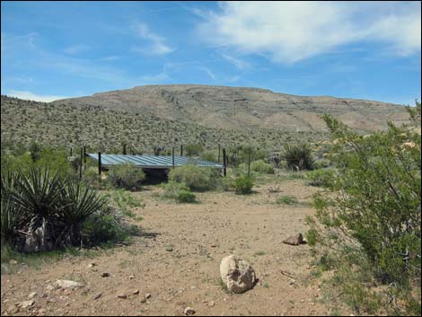 Red Bluff Spring Road