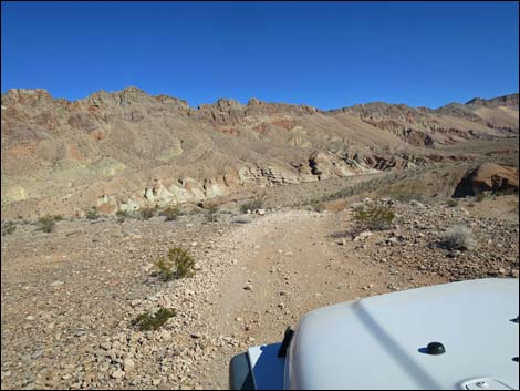 Red Bluff Spring Road